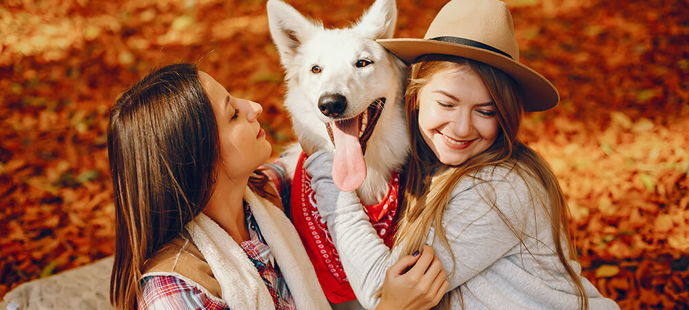 Tratamentos naturais para carência e depressão pet